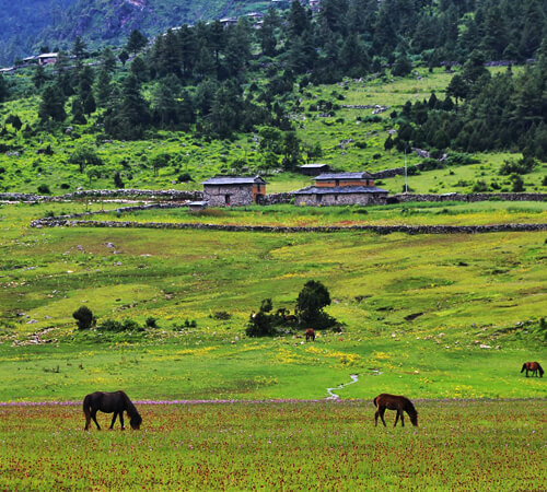 Dhorpatan Trek